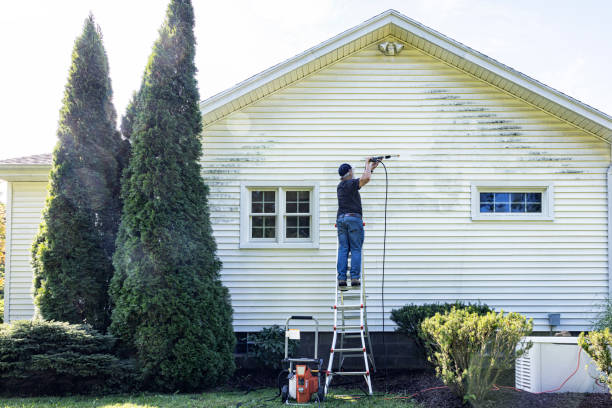 Best Patio and Deck Pressure Washing  in Underwood Petersville, AL